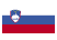 Slovenia Official Visa - Expedited Visa Services